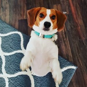 Meet your Posher, Mark